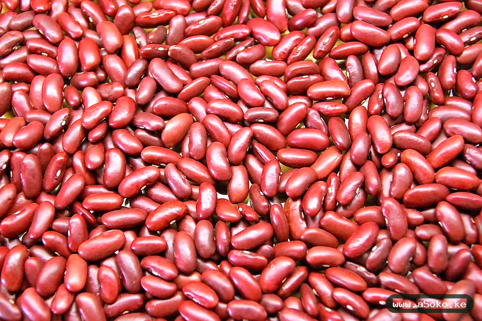 Red Kidney Beans image 4