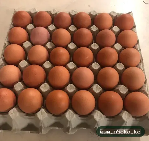 Fresh Farm Eggs