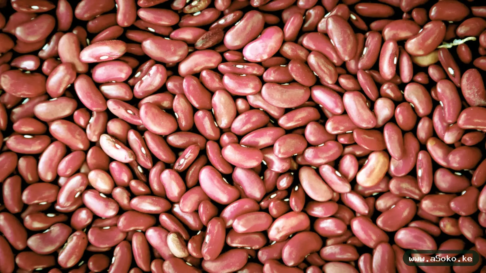 Red Kidney Beans