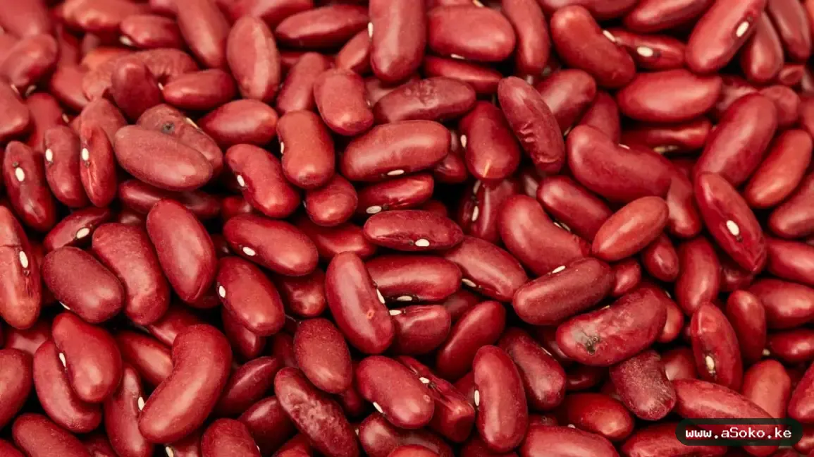 Red Kidney Beans image 3