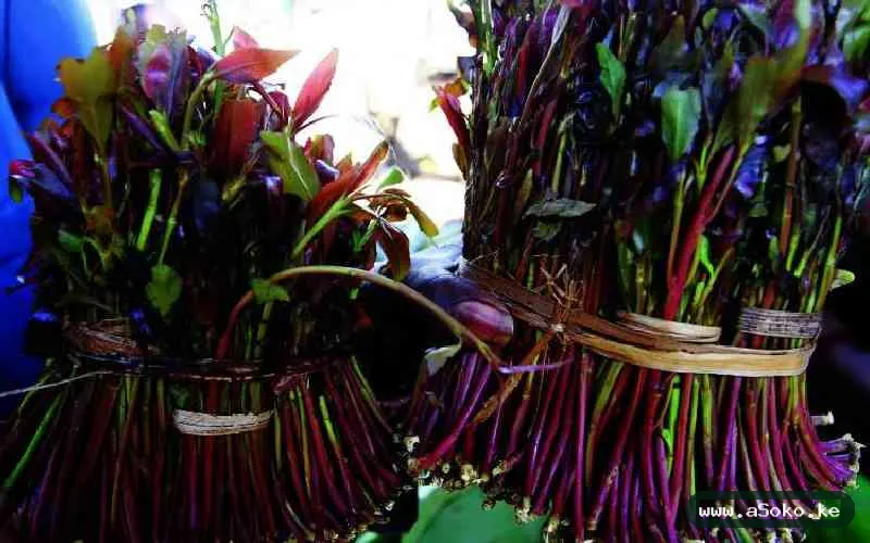 Fresh Premium Miraa Bundles