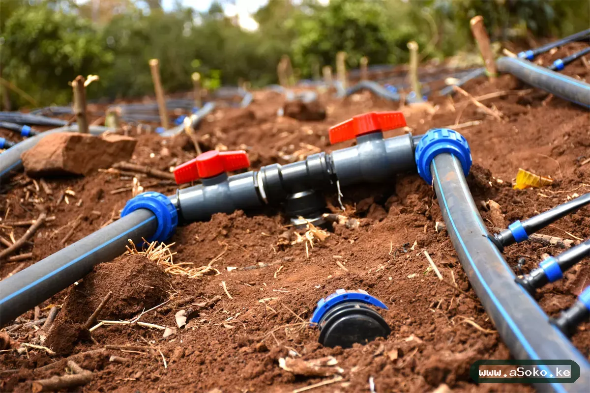 Drip Irrigation Kit – Quarter Acre image 3