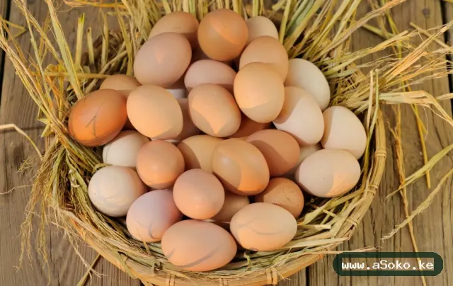Fresh Farm Eggs image 4