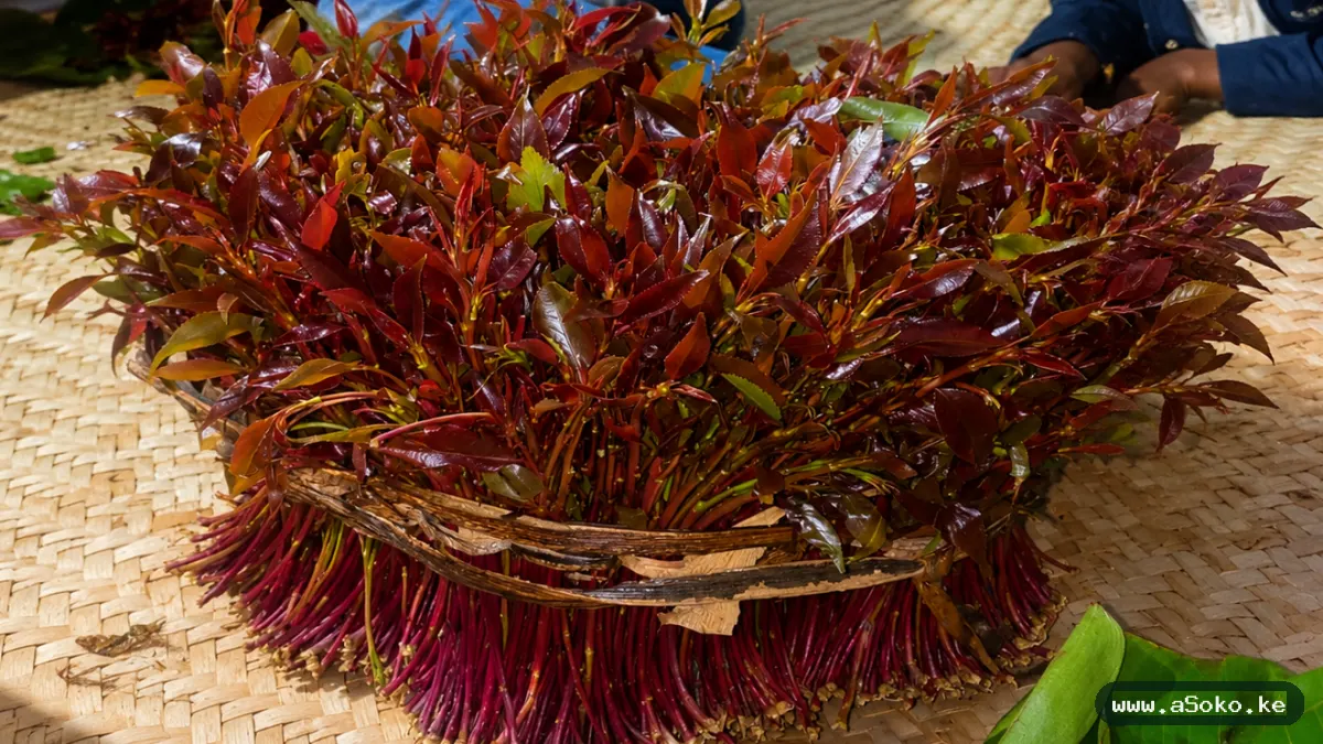 Fresh Premium Miraa Bundles image 4