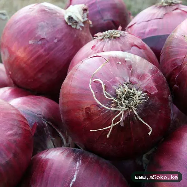Fresh Red Creole Onions