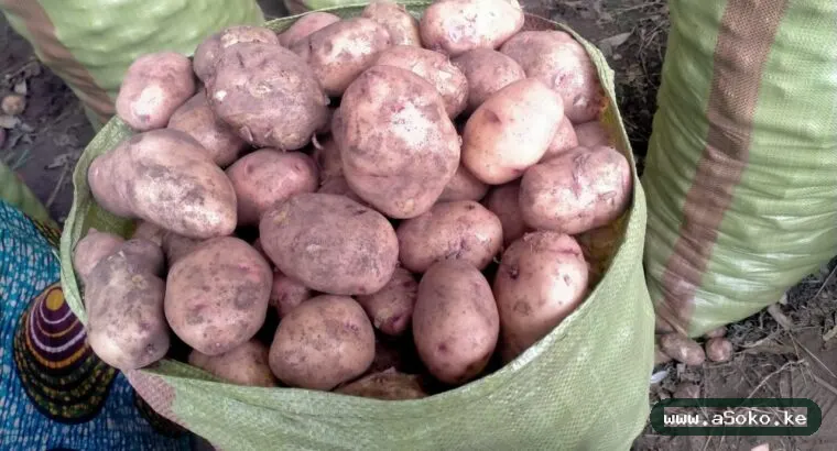 Fresh Potatoes – Shangi Variety